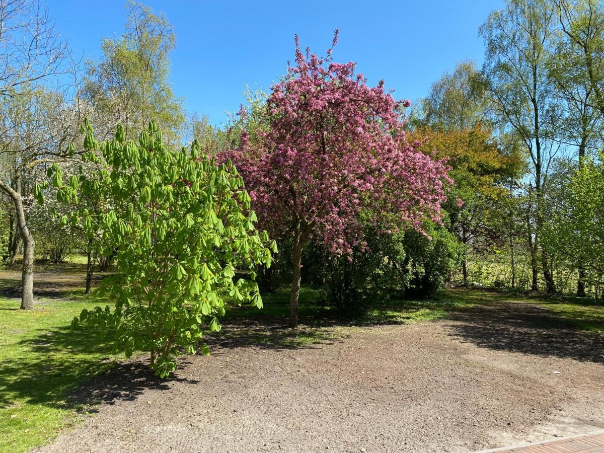 B&B Bosstee Vledderveen  Buitenkant foto
